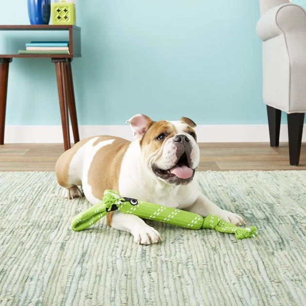 ROGZ by KONG Scrubz Dog Toy, Color Varies 5 ROGZ by KONG Scrubz Dog Toy, Color Varies - Image 3