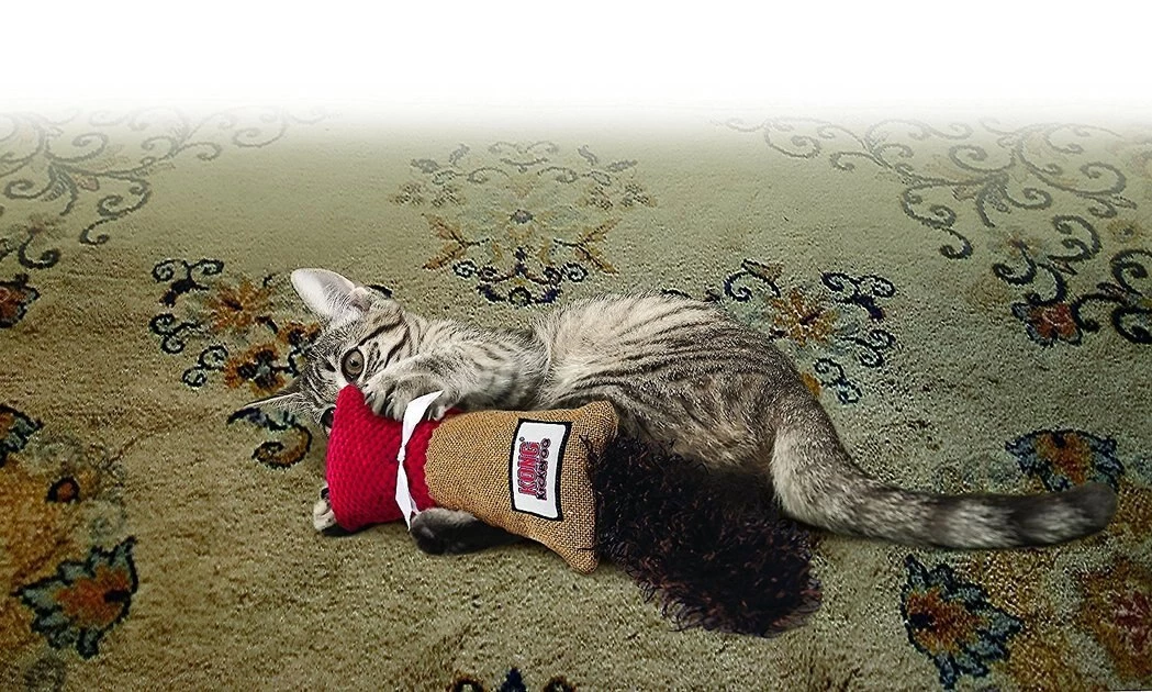 KONG Kickeroo Cuddler Cat Toy, Color Varies 7 KONG Kickeroo Cuddler Cat Toy, Color Varies - Image 5