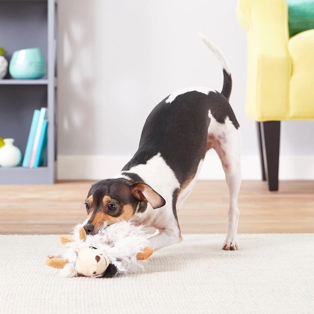 KONG Trekkers Dog Toy 5 KONG Trekkers Dog Toy - Image 3