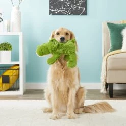 KONG Cozie Ali the Alligator Dog Toy -KONG Toys Shop 160733 PT2. SY630 V1563225482