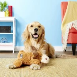 KONG Cozie Marvin the Moose Plush Dog Toy 8 KONG Cozie Marvin the Moose Plush Dog Toy -KONG Toys Shop 160735 PT2. SY630 V1605339128