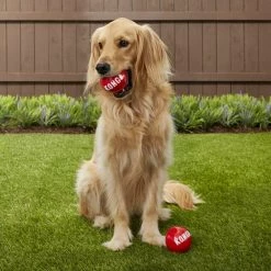 KONG Signature Balls Dog Toy, 2-pack 12 KONG Signature Balls Dog Toy, 2-pack -KONG Toys Shop 161861 PT3. SY630 V1605307639