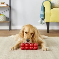 KONG Goodie Ribbon Dog Toy -KONG Toys Shop 161865 PT3. SY630 V1605316635