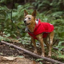 KONG Extreme Thermal Insulated Dog Parka, Red 10 KONG Extreme Thermal Insulated Dog Parka, Red -KONG Toys Shop 229393 PT4. SY630 V1599831661