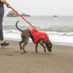 KONG Packable Dog Raincoat 13 KONG Packable Dog Raincoat -KONG Toys Shop 229408 PT5. SY630 V1599832267