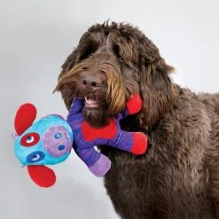 KONG Switcheroos Assorted Dog Toy, Large -KONG Toys Shop 250961 PT2. SY630 V1600463517