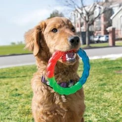 KONG Twistz Ring Dog Toy -KONG Toys Shop 250967 PT2. SY630 V1631761585