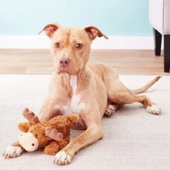 KONG Cozie Marvin the Moose Plush Dog Toy, Medium & KONG Cozie Baily the Blue Dog Toy -KONG Toys Shop 255671 PT2. SY630 V1602702076