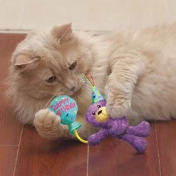 KONG Cat Occasions Birthday Teddy Plush Cat Toy with Catnip -KONG Toys Shop 262941 PT3. SY630 V1611090491