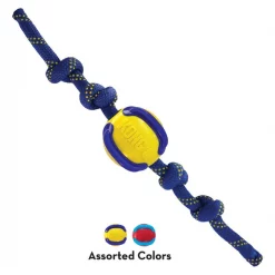 KONG Jaxx Brights Ball Rope Dog Toy 9 KONG Jaxx Brights Ball Rope Dog Toy -KONG Toys Shop 265784 PT3. SY630 V1611787648