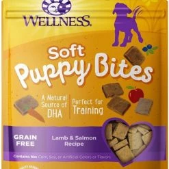KONG||Wellness KONG Wobbler Dog Toy, Small + Wellness Soft Puppy Bites Lamb & Salmon Recipe Grain-Free Dog Treats, 3-oz pouch -KONG Toys Shop 298198 PT5. SY630 V1623199666