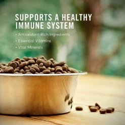 American Journey||KONG American Journey Active Life Formula Senior Chicken, Brown Rice & Vegetables Recipe Dry Food + KONG Senior Dog Toy, Large 13 American Journey||KONG American Journey Active Life Formula Senior Chicken, Brown Rice & Vegetables Recipe Dry Food + KONG Senior Dog Toy, Large -KONG Toys Shop 302224 PT3. SY630 V1623055349