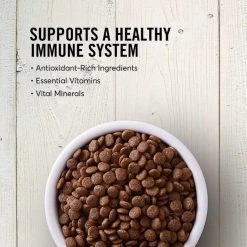 American Journey||KONG American Journey Senior Salmon & Sweet Potato Recipe Grain-Free Dry Food + KONG Senior Dog Toy, Large 13 American Journey||KONG American Journey Senior Salmon & Sweet Potato Recipe Grain-Free Dry Food + KONG Senior Dog Toy, Large -KONG Toys Shop 302334 PT3. SY630 V1623078754