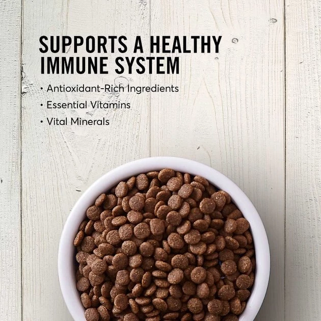 American Journey||KONG American Journey Senior Salmon & Sweet Potato Recipe Grain-Free Dry Food + KONG Senior Dog Toy, Large 6 American Journey||KONG American Journey Senior Salmon & Sweet Potato Recipe Grain-Free Dry Food + KONG Senior Dog Toy, Large - Image 4