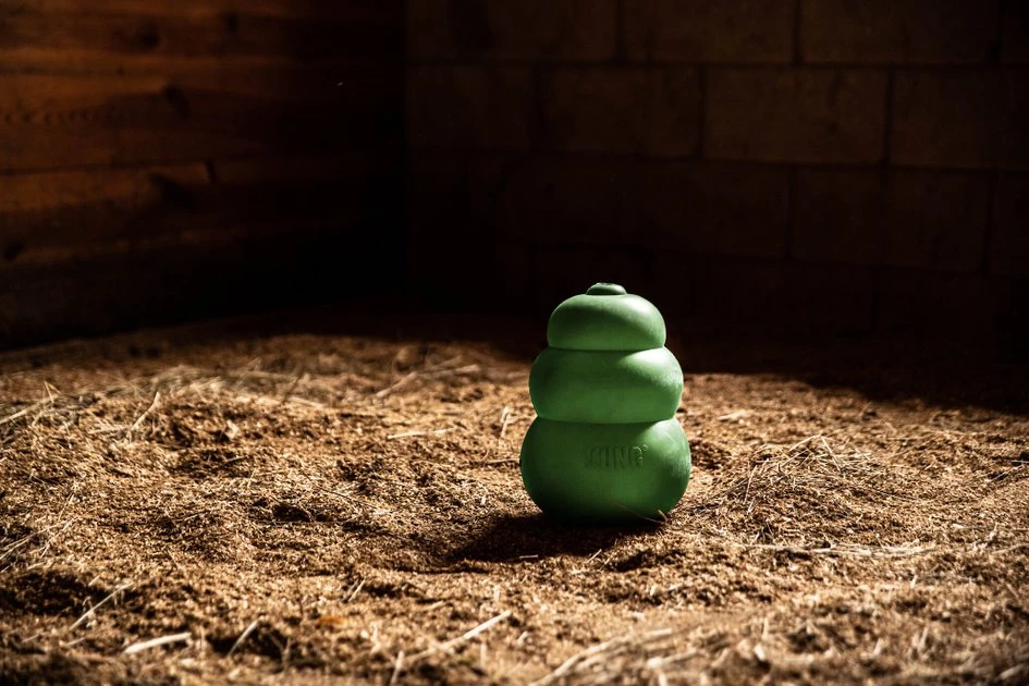 KONG Equine Classic Green, 12-in 2 KONG Equine Classic Green, 12-in - Image 2