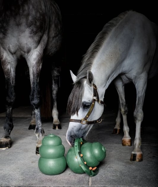 KONG Equine Classic Green, 12-in 3 KONG Equine Classic Green, 12-in - Image 3