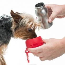 KONG H2O Dog Stainless Steel Bottle 8 KONG H2O Dog Stainless Steel Bottle -KONG Toys Shop 364070 PT2. SY630 V1643837546