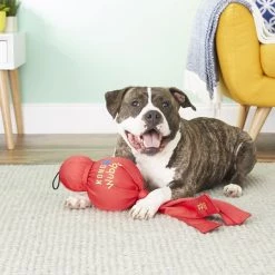 KONG Mega Wubba Dog Toy, Color Varies -KONG Toys Shop 53475 PT4. SY630 V1605339710