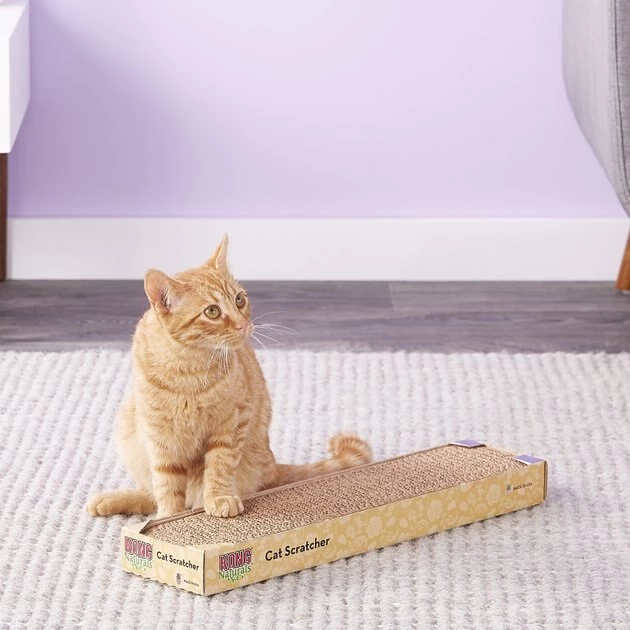 KONG Naturals Cat Scratcher 8 KONG Naturals Cat Scratcher - Image 6