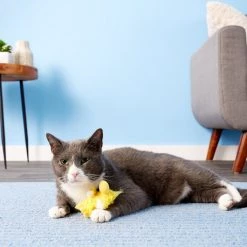 KONG Refillable Duckie Catnip Cat Toy -KONG Toys Shop 53521 PT7. SY630 V1515535408