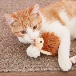 KONG Refillable Hedgehog Catnip Cat Toy -KONG Toys Shop 53522 PT6. SY630 V1603154782