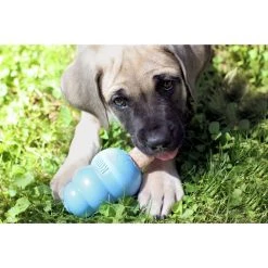 KONG Stuff'N Puppy Ziggies Dog Treats -KONG Toys Shop 53844 PT4. SY630 V1605325306