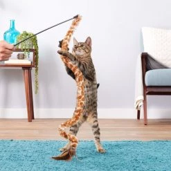 KONG Swizzle Bird Cat Teaser, Color Varies -KONG Toys Shop 54924 PT4. SY630 V1545170365