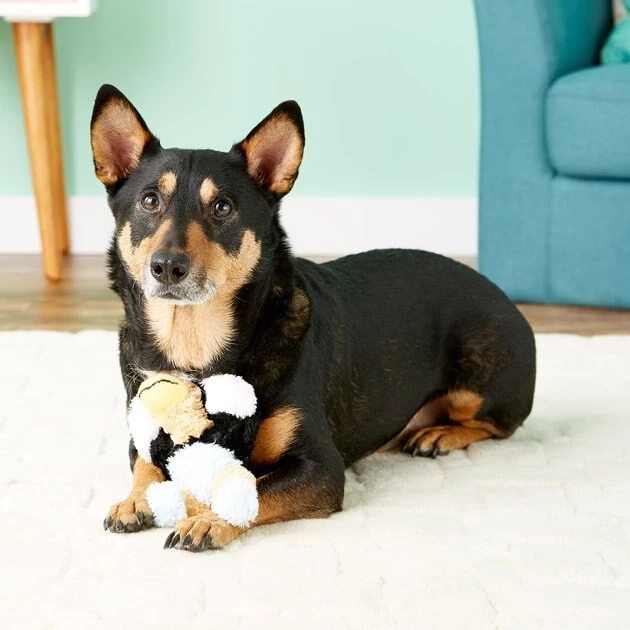 KONG Wild Knots Eagle Dog Toy 8 KONG Wild Knots Eagle Dog Toy - Image 6