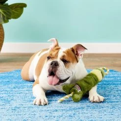 KONG Tuggerknots Frog Dog Toy 10 KONG Tuggerknots Frog Dog Toy -KONG Toys Shop 58073 PT3. SY630 V1603164693