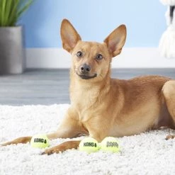KONG Squeakair Balls Packs Dog Toy -KONG Toys Shop 59142 PT3. SY630 V1603148788