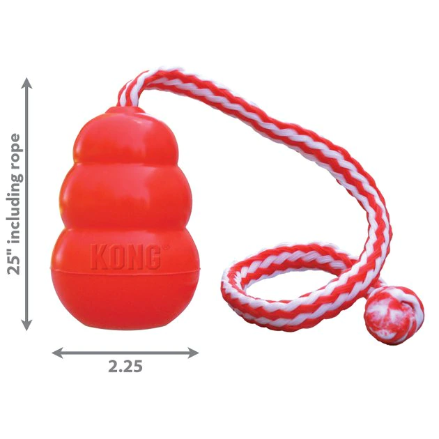 KONG Aqua Dog Toy 4 KONG Aqua Dog Toy - Image 2