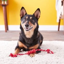 KONG Dental with Rope Dog Toy 10 KONG Dental with Rope Dog Toy -KONG Toys Shop 59151 PT3. SY630 V1603164085
