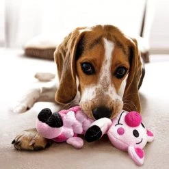 KONG Pudge Braidz Pig -KONG Toys Shop 59208 PT3. SY630 V1531424283