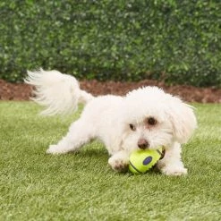 KONG AirDog Football Dog Toy 9 KONG AirDog Football Dog Toy -KONG Toys Shop 59282 PT2. SY630 V1605347211