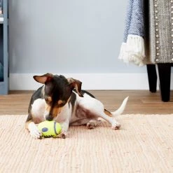 KONG AirDog Football Dog Toy 10 KONG AirDog Football Dog Toy -KONG Toys Shop 59282 PT3. SY630 V1603162884