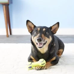 KONG AirDog Dumbbell Dog Toy 9 KONG AirDog Dumbbell Dog Toy -KONG Toys Shop 59299 PT3. SY630 V1603147891