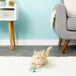 KONG Refillable Turtle Catnip Cat Toy 13 KONG Refillable Turtle Catnip Cat Toy -KONG Toys Shop 59302 PT5. SY630 V1603162890