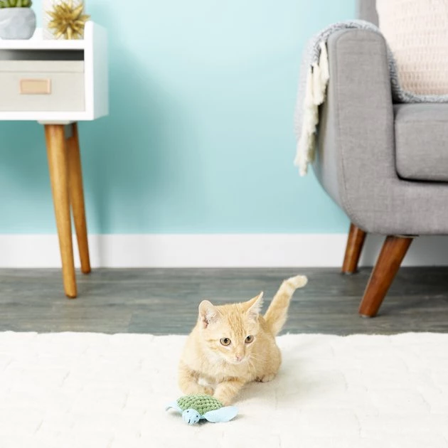 KONG Refillable Turtle Catnip Cat Toy 8 KONG Refillable Turtle Catnip Cat Toy - Image 6