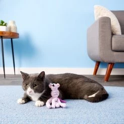 KONG Wubba Cat Friends Mouse Cat Toy, Color Varies 12 KONG Wubba Cat Friends Mouse Cat Toy, Color Varies -KONG Toys Shop 59315 PT4. SY630 V1605322906