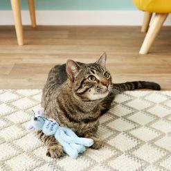 KONG Wubba Cat Friends Mouse Cat Toy, Color Varies 13 KONG Wubba Cat Friends Mouse Cat Toy, Color Varies -KONG Toys Shop 59315 PT5. SY630 V1528231520