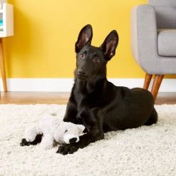 KONG Cozie Buster the Koala Dog Toy 8 KONG Cozie Buster the Koala Dog Toy -KONG Toys Shop 62765 PT2. SY630 V1531425187