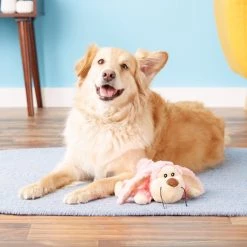 KONG Cozie Floppy the Rabbit Dog Toy -KONG Toys Shop 62767 PT2. SY630 V1531425425