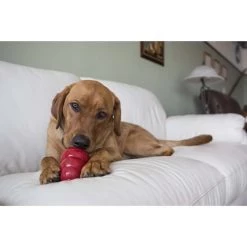 KONG Stuff'N Bacon & Cheese Snacks Dog Large Treats, 11-oz bag -KONG Toys Shop 62782 PT3. SY630 V1605310011