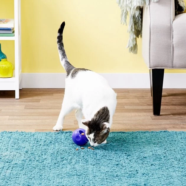 KONG Active Treat Ball Cat Toy 3 KONG Active Treat Ball Cat Toy - Image 2