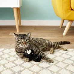 KONG Softies Patchwork Bear Cat Toy, Color Varies -KONG Toys Shop 66562 PT6. SY630 V1603149098