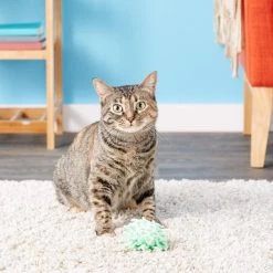 KONG Moppy Ball Cat Toy, Color Varies -KONG Toys Shop 66570 PT6. SY630 V1603164687