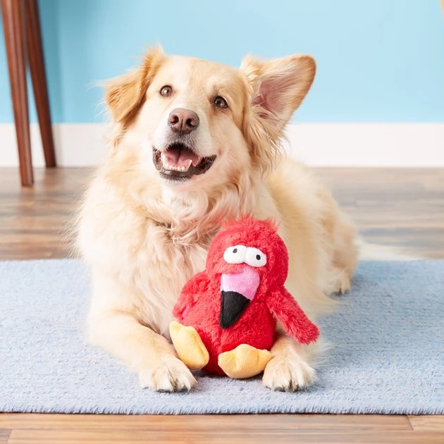 KONG Dodo Bird Dog Toy, Color Varies 9 KONG Dodo Bird Dog Toy, Color Varies - Image 7