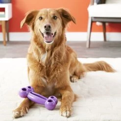 KONG Toys Shop -KONG Toys Shop 66611 PT1. SY630 V1559593049