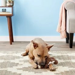 KONG Scrunch Knots Squirrel Dog Toy -KONG Toys Shop 71945 PT4. SY630 V1603165903