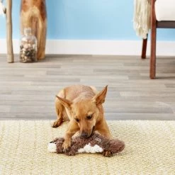 KONG Scrunch Knots Squirrel Dog Toy -KONG Toys Shop 71945 PT5. SY630 V1603165887